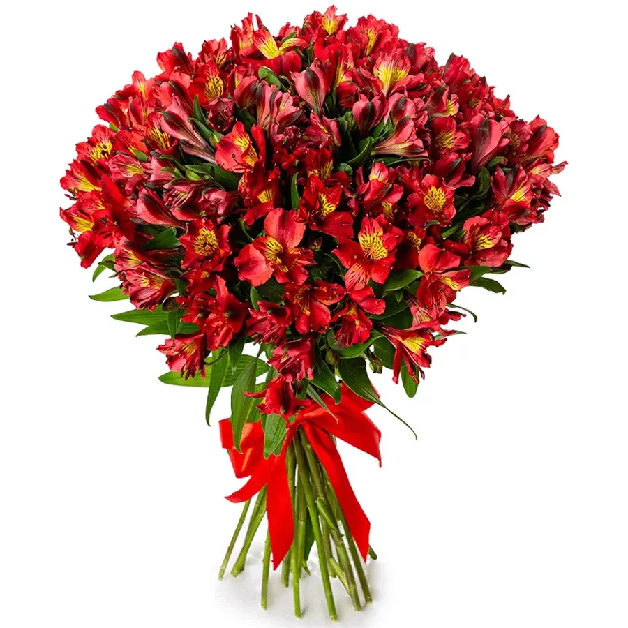 Альстромерия красная