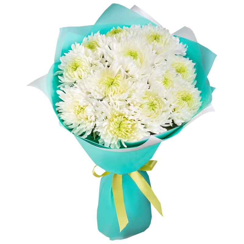 Букет из 11 белых игольчатых хризантем