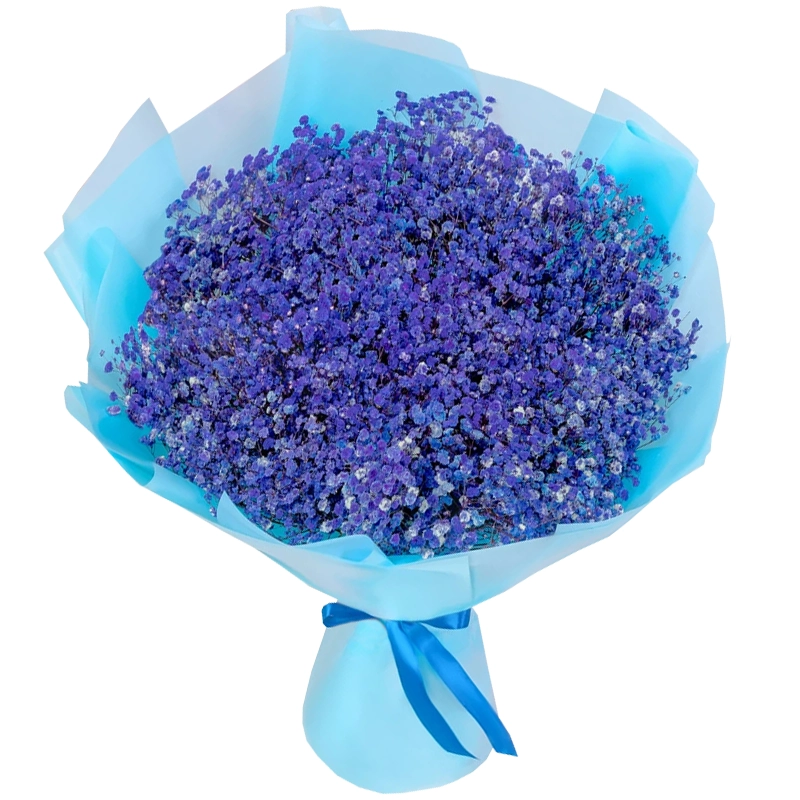 Букет из 25 синих гипсофил